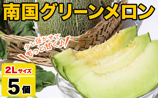 鹿児島県産！南国グリーンメロン(2Lサイズ×5個) メロン めろん 果物 スイーツ デザート フルーツ 【あくね旬の店いきいき館】akn015-19