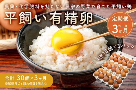 【定期便】有精卵定期便（3か月連続毎月中旬頃お届け：配送月ごと割れ保証3個含む）栽培期間中農薬不使用の野菜で育てた平飼い鶏 mi0036-0002