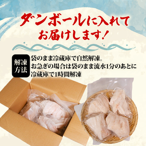 マンボウ正肉600g | 鮮魚 刺身 海鮮 魚 魚介類 まんぼう マンボウ 冷凍 骨なし 生食可 焼き物 フライ 揚げ物 煮物 ご飯のお供 お酒のお供 1万円 10000円 三陸 岩手県 大船渡市