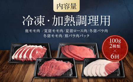 【定期便全6回（偶数月）】お家でジビエ♪おまかせ定期便（鹿／猪／熊）| 本格 ジビエ 料理 鹿肉 猪肉 熊肉 ヘルシー 高タンパク 飛騨高山舞地美恵 SW102
