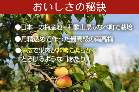 【1079-5】幸せのはちみつ梅干(紀州南高梅)700ｇA級 大粒 3L以上 和歌山県産 うめぼし 梅干し 梅 700ｇ 送料無料 ふるさと納税 梅干し はちみつ