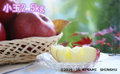 【ふるさと納税】7-J13 サンふじ（小玉）約2.5kg サンふじ 小玉 2.5kg