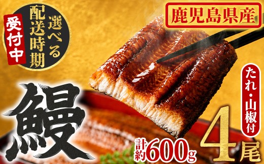 
                  ＜発送時期が選べる＞東串良町のうなぎ蒲焼(無頭)(4尾・計約600g・タレ、山椒付) うなぎ 高級 ウナギ 鰻 国産 蒲焼 蒲焼き たれ 鹿児島 ふるさと 人気 【アクアおおすみ】
                