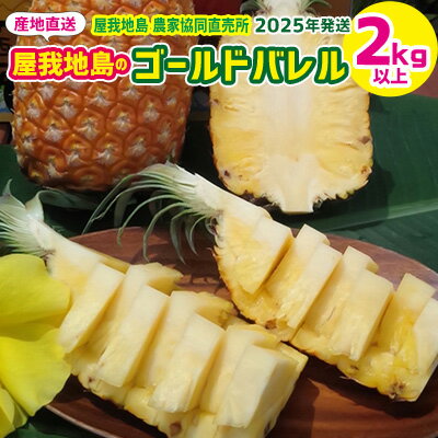 【ふるさと納税】2025年【屋我地島農家協同直売所】屋我地島のゴールドバレル　2kg以上 先行予約 沖縄 国産 パインアップル パイン ぱいん 県産 名護 送料無料 ご当地 ギフト プレゼント ふるさと納税 お取り寄せ 果物 くだもの デザート フルーツ