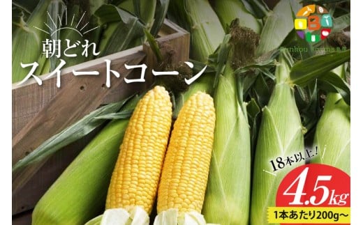CG035　【令和8年度出荷分】5月下旬から出荷！ 朝どれ スイートコーン 200g以上×18本以上 4.5kg ～名水百選の里 島原産～