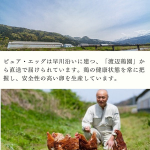 たまごやさんの贅沢たまごプリン（５個入り）