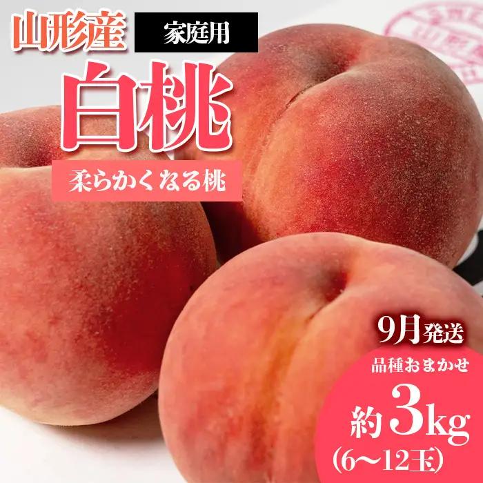[ご家庭用]やまがたの桃 (白桃) 品種お任せ「柔らかくなる桃」9月 優品 約3kg(6～12玉程度) 【令和8年産先行予約】FS23-812 くだもの 果物 フルーツ 山形 山形県 山形市 2026