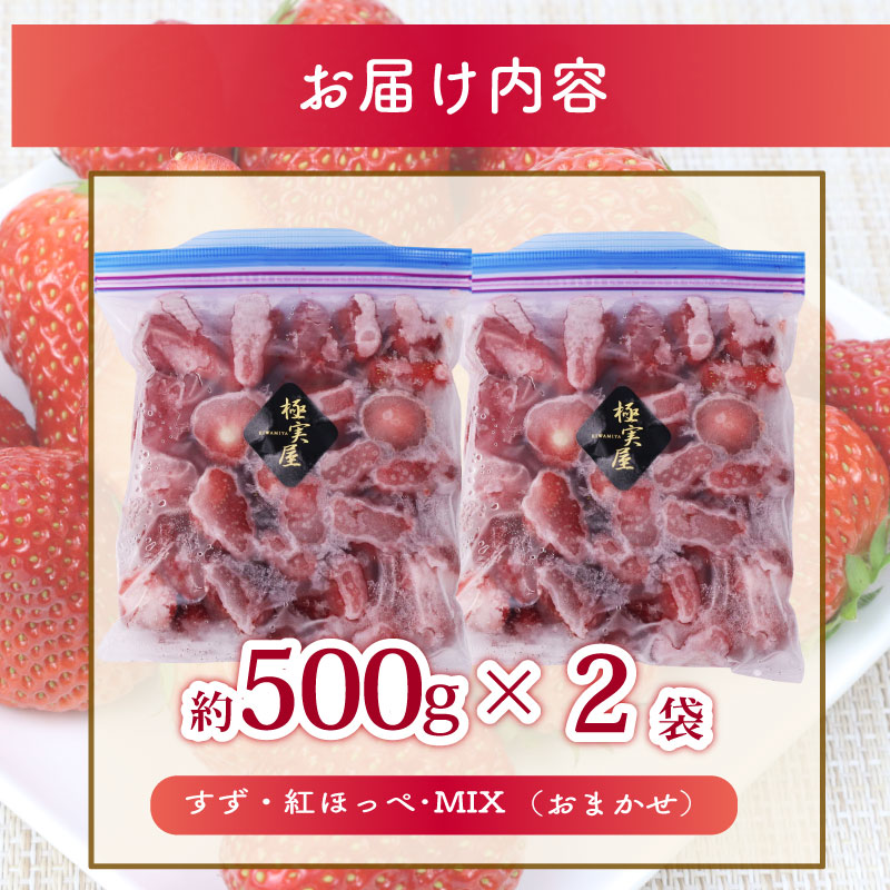 ＜選べる内容量＞ 高級 冷凍 いちご ベリーポップすず & 紅ほっぺ MIX 1000g 1kg 小分け ギフト 朝採り スイーツ フルーツ フローズン 氷 果物 上品 大粒 完熟 イチゴ 苺 ストロ