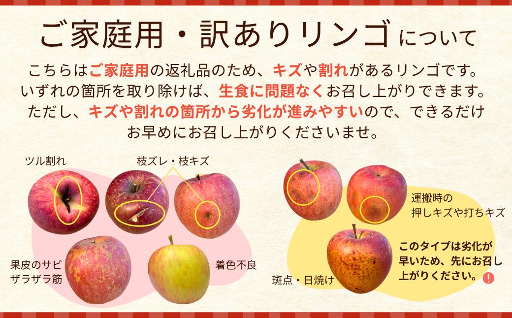 りんご 訳あり サンふじ 約10kg