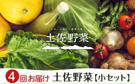 旬の土佐野菜セット 旬の詰め合わせ小セット 4回定期便 野菜