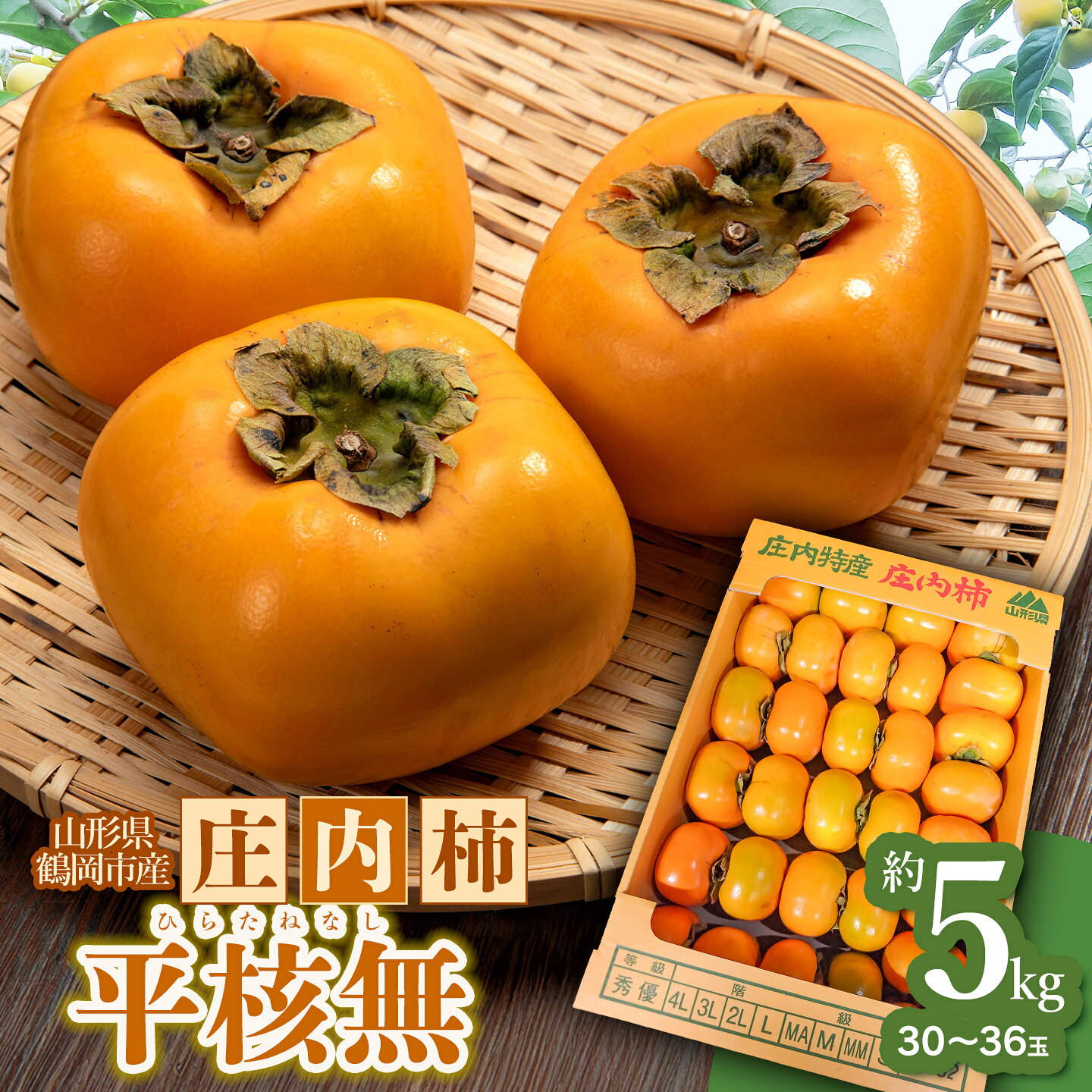 【ふるさと納税】【令和8年産先行予約】 庄内柿 平核無 5kg（30～36玉）　山形県鶴岡市　わたなべフルーツファクトリー | 柿 かき カキ 5キロ 果物 くだもの フルーツ 産地直送 国産 人気 甘い 美味しい お取り寄せ 秋 旬 味覚 2026年産 返礼品 ひらたねなし