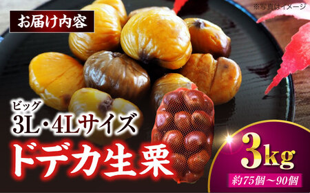 【先行予約】【9月下旬から配送開始】ドデカ生栗 3kg（約75個から90個） 愛媛県大洲市/有限会社西山青果[AGAR006] 栗 果物 