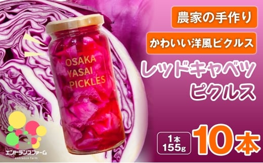 ＜農家の手作り おかずピクルス！＞レッドキャベツピクルス(10本) 【m104-04-E】【エントランスファーム】