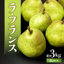 【ふるさと納税】《先行受付》ラ・フランス　約3kg（2Lサイズ　8〜9玉） 【2025年11月1日以降～発送予定】