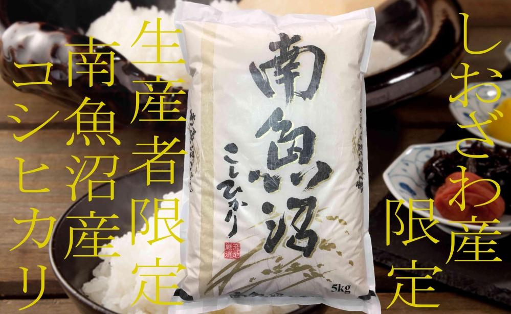 【令和7年産】【定期便5kg×3ヶ月】しおざわ産限定 生産者限定 南魚沼産コシヒカリ【2025年10月上旬より順次発送予定】