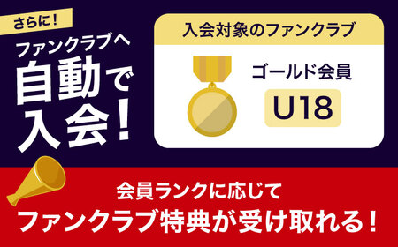 FC琉球 2025シーズンパス バック自由席 U18 (ゴールド会員ファンクラブ付き) サッカー Jリーグ スポーツ観戦 チケット 沖縄市 / 琉球フットボールクラブ株式会社[BCBF021]