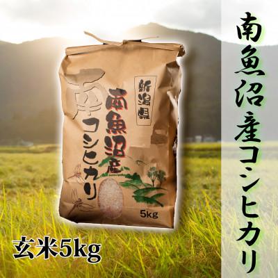 ふるさと納税 南魚沼市 【令和8年産 新米】【高級】南魚沼産こしひかり5kg(玄米) 新潟県の特A地区南魚沼市の美味しいお米
