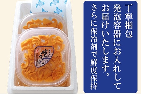 ムラサキウニ塩水パック80～90g×2P[7月上旬以降発送] A-71002