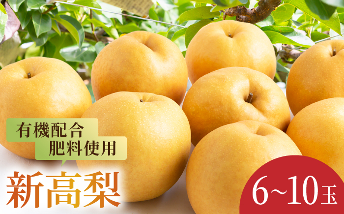 
            【先行予約】有機配合肥料使用 新高梨 6～10玉 （約5kg） 【2026年9月上旬～9月下旬より順次発送予定】 【春光園】 梨 なし 果物 フルーツ 新高 果実 福岡県 うきは市 常温
          