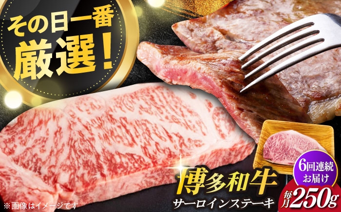 
                  【全6回定期便】【厳選部位使用！】博多和牛A4以上サーロインステーキ250g×1枚《築上町》【株式会社MEAT PLUS】 牛肉 肉 [ABBP046] 66000 66000円
                