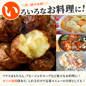 冷凍じゃがいも (計2kg・250g×8袋) ジャガイモ ニシユタカ にしゆたか 冷凍 ボイル 小分け 小玉 小さめ フライ アヒージョ スープ カレー シチュー 簡単調理 お弁当 おかず 野菜 赤土
