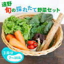 【ふるさと納税】【偶数月 3回 定期便 】旬の採れたて野菜の詰め合わせセット（7～10品） こんたでぃーの遠野 岩手県 遠野市 産 野菜 やさい セット 詰め合わせ 新鮮 直送 旬 とれたて 仕送り アウトドア バーベキュー BBQ 料理 栄養 家庭 健康 農家 お取り寄せ 送料無料