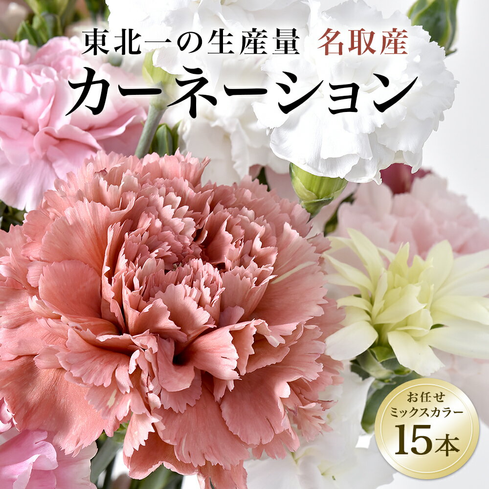 【ふるさと納税】【母の日ギフト(5月9日、10日着限定)】東北一の生産量!! 名取産 の カーネーション 農家直送 お任せミックスカラー 15本