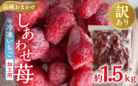 【2026年5月より発送】《 業務用の大袋 》 加工向きな 冷凍いちご 品種おまかせ 1.5kg 簡易梱包 サイズ 不揃い のため 訳あり 訳アリ フルーツ 果物 苺 いちご イチゴ アイス 紅ほっぺ