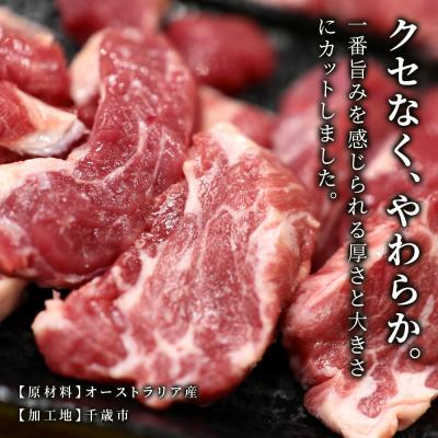 ふるさと納税 千歳市 特撰 生ラム (冷凍)タレ付 600g＜肉の山本＞ |  | 02