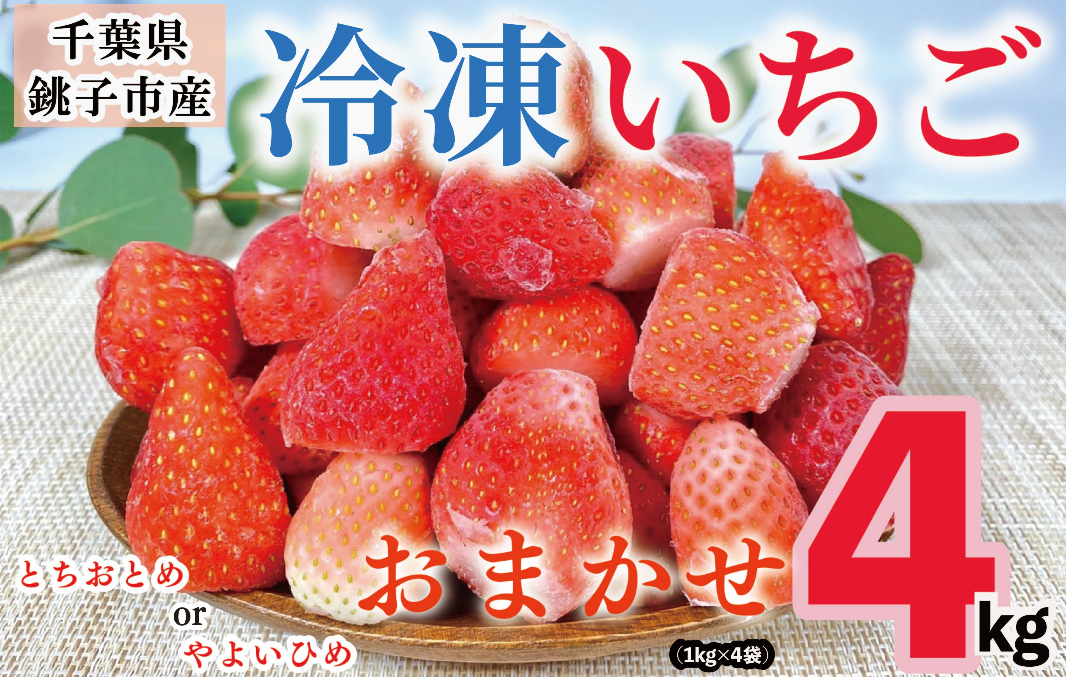 
冷凍いちご 4kg （ 1kg × 4 ） とちおとめ やよいひめ 冷凍イチゴ 神原いちご園 銚子産 苺 いちご イチゴ 真空パック 冷凍 冷凍フルーツ カットフルーツ フルーツ ジャム スムージー 便利 簡単 小分け 個別冷凍 真空 冷凍品 長期保存 お取り寄せ グルメ 食品 冷凍食品 大容量 送料無料 ギフト 贈物 贈り物 プレゼント 千葉県 銚子市
