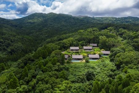 1泊2食付ペア宿泊券 悠離庵 平日限定プラン 悠離庵 330-1177宿泊券 宿泊券 