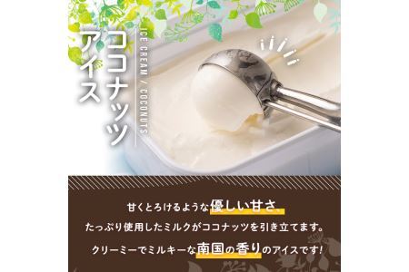 フルーツソムリエが作った濃厚優しいココナッツアイス 業務用 (1L) アイス アイスクリーム ココナツ 手作り スイーツ ＜離島配送不可＞【ksg0055】【南国フルーツ】