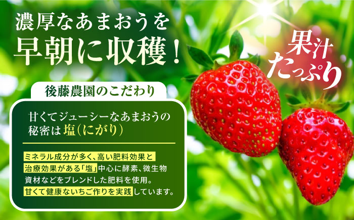 【先行予約受付中・2025年1月下旬より順次発送】【農家直送！】 糸島産 あまおう 280g×4パック (GおよびSサイズ) 糸島市 / 後藤農園 [AML003]
