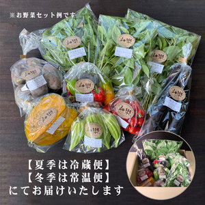 旬 の 野菜 詰め合わせ セット 7 ~ 9 品 ( お楽しみ野菜 産地直送野菜 農家直送野菜 季節野菜 春野菜 夏野菜 秋野菜 冬野菜 露地野菜 やさい サラダ野菜 農薬化学肥料不使用野菜 ) 下関