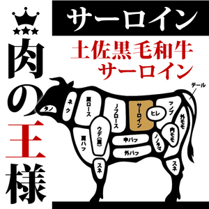 牛肉 ステーキ サーロイン 220g×2枚 特選 サーロイン肉 土佐黒毛和牛 Ａ５～Ａ４ 等級 冷凍 高知県 須崎市