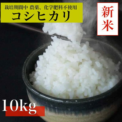 【ふるさと納税】【令和7年産　新米先行予約】コシヒカリ白米10kg《栽培期間中農薬・化学肥料不使用》徳島県阿南市産【1655400】
