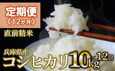 【定期便/12回】コシヒカリ 白米10kg ×12か月連続お届け