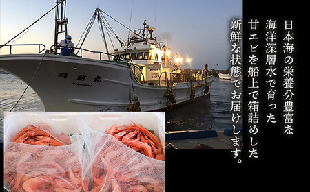 鶴岡市鼠ヶ関港水揚げ　船上箱詰め甘エビ(小) 1.1kg　【市制施行20周年記念返礼品】　羽前丸水産