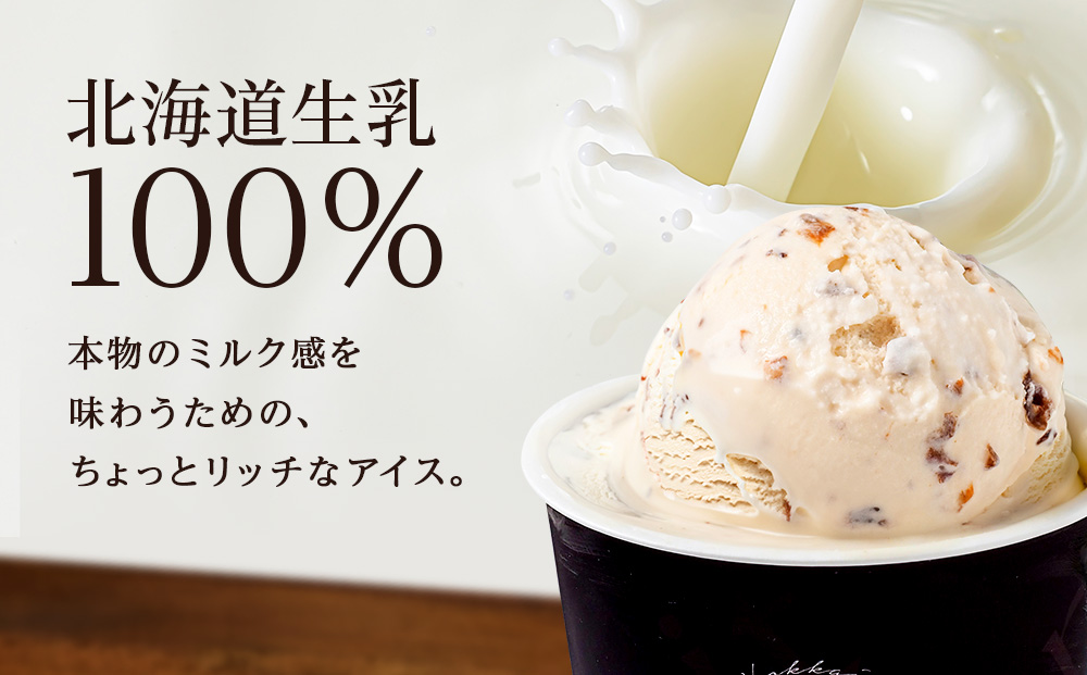 リッチアイスクリーム 香り高い魅惑のラムレーズン 8個セット（100ml）アイス スイーツ おやつ 冷凍 食べ比べ