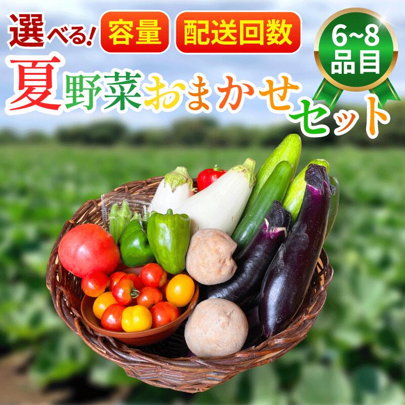 【ふるさと納税】 野菜 夏野菜 セット 6～8品 選べる 容量 選べる 配送回数 年2回 年4回 詰め合わせ 茄子 きゅうり ピーマン トマト ミニトマト 白茄子 オクラ 大葉 枝豆 ズッキーニ ししとう とうもろこし パプリカ じゃがいも たまねぎ にんじん 森商店 徳島県 吉野川市