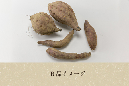 【家庭用】シルクスイート 4.5kg（A品・B品混在） 七谷産 さつまいも《順次発送》