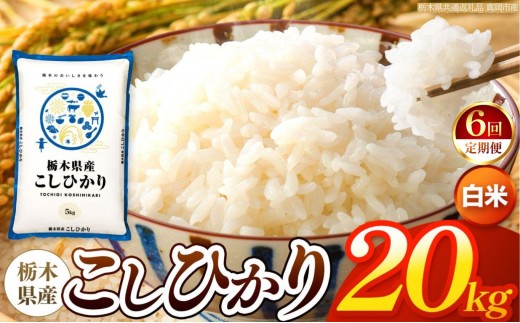 【令和8年産 新米】 【定期便6回】栃木県産 お米 こしひかり　（白米） 20kg 【2026年秋以降発送 】 |  栃木県 矢板市 【栃木県共通返礼品 真岡市産】