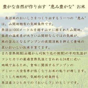 【定期便全12回】新潟県魚沼産コシヒカリ5kg