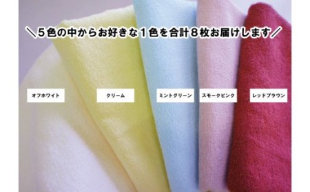 泉州タオル 無蛍光 抗菌 カラータオル 選べる1色 8枚入り 240匁 ( クリーム )