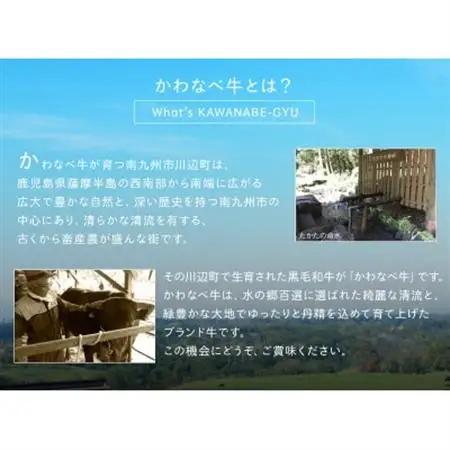 4等級以上!かわなべ牛サーロインステーキ2枚【配送不可地域：離島】【1185880】