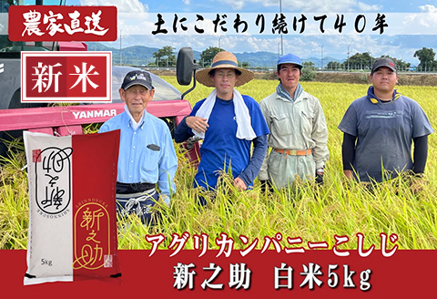 J8-7S051A新潟県長岡産　新之助　5kg