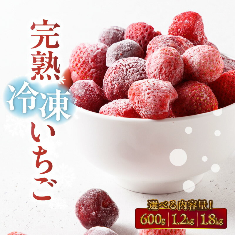 【ふるさと納税】【先行予約】 完熟 冷凍いちご 【1袋／600g】【選べる袋数 1袋 / 2袋 / 3袋】※期間限※ 冷凍フルーツ イチゴ フルーツ 春 旬 果物 冷凍食品 真空パック 保存食 お菓子作り フローズン苺 いちご スムージー 完熟苺【受付期間：2026年5月31日まで】送料無料