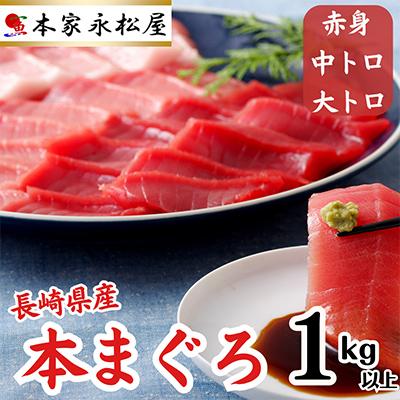 ふるさと納税 佐世保市 長崎県産本マグロ「赤身・中トロ・大トロ」贈答用セット(計1,000g以上)