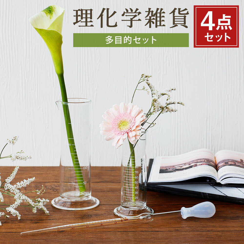【ふるさと納税】A109 理化学雑貨 多目的セット どっしりンダー 100ml 250ml 駒込ピペット 5ml シリコンスポイト 5ml 4点セット インテリア グラス 花瓶 雑貨 実験 耐熱ガラス みやま市 福岡県産 国産 送料無料