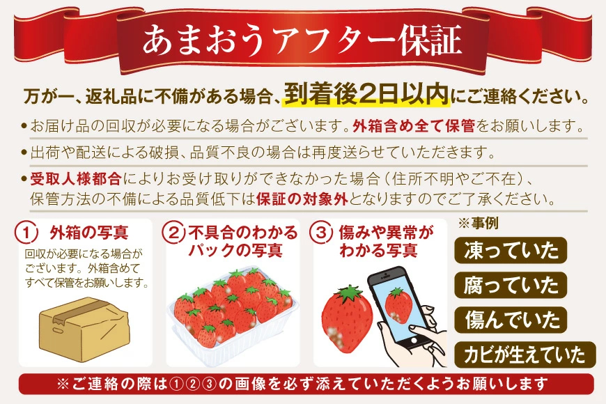 いちご あまおう 定期便 2p 3回 総計6P【2027年発送】 期間限定発送 [THE FARM_strawberry 福岡県 宇美町 um40azo780012] 先行予約 イチゴ 苺 フルーツ 